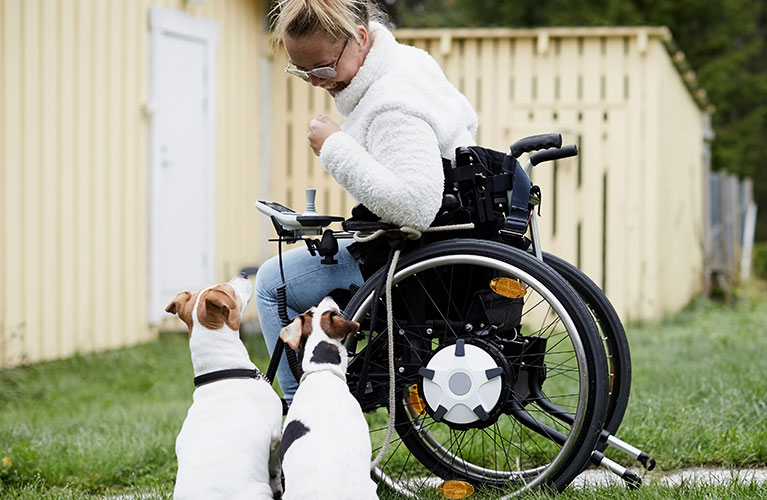 woman in a wheelchair with two dogs