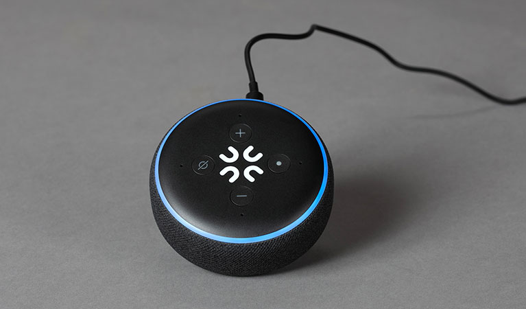 Connect to Wellness Kit E: Amazon Echo Dot